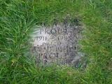image of grave number 232625